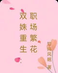雙姝重生：職場繁花 封面