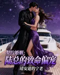 契約婚姻：陸總的致命偏寵 封面