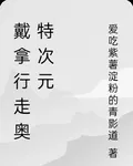 戴拿行走奧特次元 封面