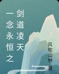 一念永恆之劍道凌天 封面