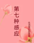 第七種感應 封面
