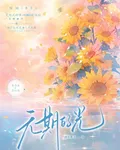 無期的光 封面