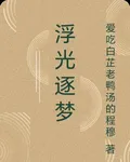 浮光逐夢 封面
