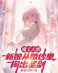 魔王大婚，新娘從婚紗裏掏出聖劍 封面
