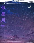 似星月 封面