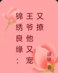 錦繡良緣：王爺他又寵又撩 封面
