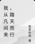 我從凡間來，踏天而行 封面