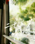 二十五歲請回答 封面