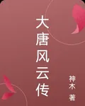 大唐風雲傳 封面