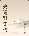 光遇野史傳 封面