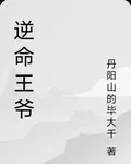 逆命王爺 封面