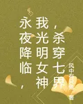 永夜降臨，我光明女神，殺穿七界 封面