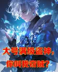 大號滿級盜神，你叫我竊賊？ 封面