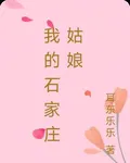 我的石家莊姑娘 封面