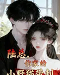 陸總，你家的小野貓帶刺 封面