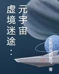 虛境迷途：元宇宙 封面