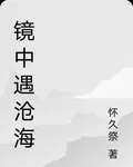 鏡中遇滄海 封面