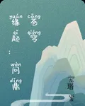 重合：問鼎蒼穹 封面
