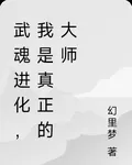 武魂進化，我是真正的大師 封面