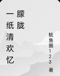 一紙清歡憶朦朧 封面