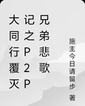 大同行覆滅記之P2P兄弟悲歌 封面