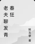 老夫聊發青春狂 封面