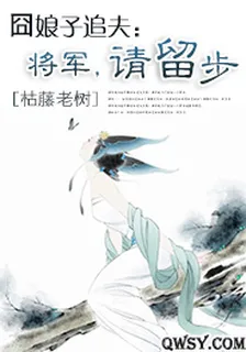 囧娘子追夫：將軍，請留步 封面