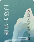 江湖半卷霜 封面