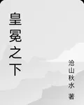 皇冕之下 封面