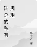 陸總的私有規矩 封面