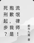 死刑起步？抱歉，我是流氓律師！ 封面