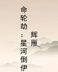 命輪劫：星河倒伊輝雁 封面