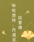 命輪逆轉：丹道至段萱塘 封面
