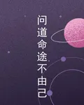 問道命途不由己 封面