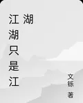 江湖只是江湖 封面