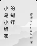 小鳥小姐家的蝴蝶 封面