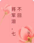 將軍淚，七不回 封面