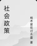 社會政策 封面