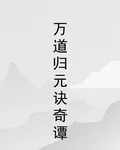 萬道歸元訣奇譚 封面