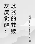 灰域覺醒：破冰之契 封面