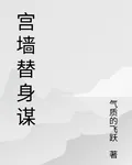 宮牆替身謀 封面