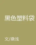 黑色塑料袋 封面