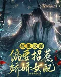 瘋批反派偏要招惹嬌嬌女配 封面