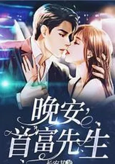 晚安，首富先生 封面