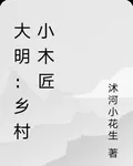 大明：鄉村小木匠 封面