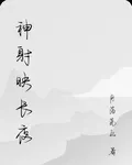 神射映長夜 封面