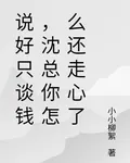 說好只談錢，沈總你怎麼還走心了 封面