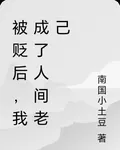 被貶後，我成了人間老己 封面