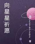 星光之願 封面