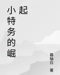 小特務的崛起 封面
